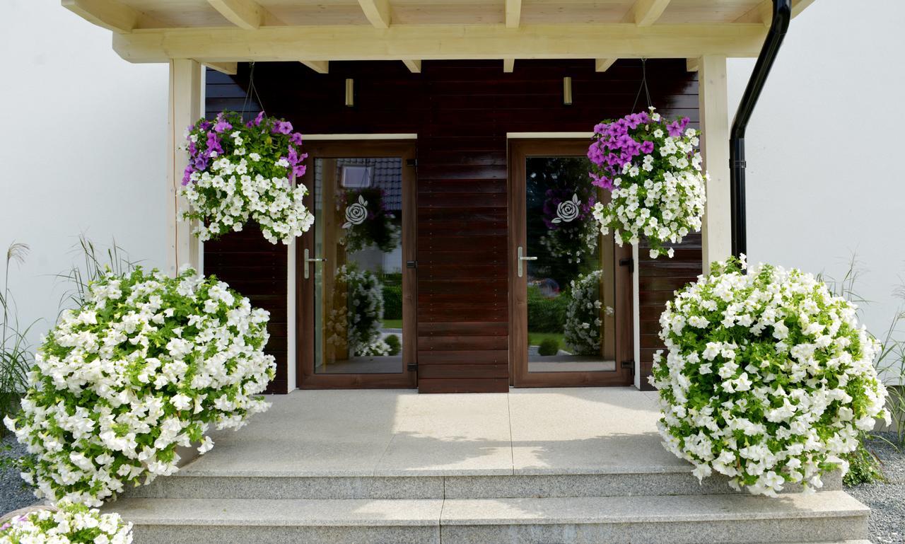 Apartamenty U Harrego II Przy Stawie Spa Klimatyzacja,Balkon,Sauna , Balia, Ogrod,Parking Кудова-Здрой Екстериор снимка